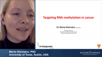 Targeting RNA Methylation in Cancer icon