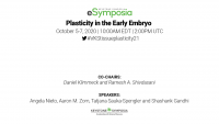 Plasticity in the Early Embryo icon