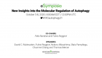 New Insights into the Molecular Regulation of Autophagy icon