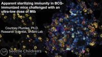 Short Talk: Apparent Sterilizing Immunity in BCG‑Immunized Mice Challenged with an Ultra Low Dose of Mycobacterium tuberculosis icon