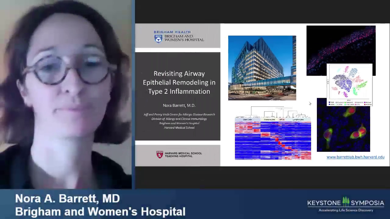 Revisiting Airway Epithelial Remodeling In Type 2 Inflammation