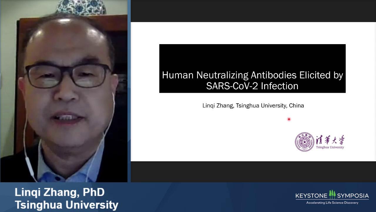 Human Neutralizing Antibodies Elicited By SARS CoV 2 Infection