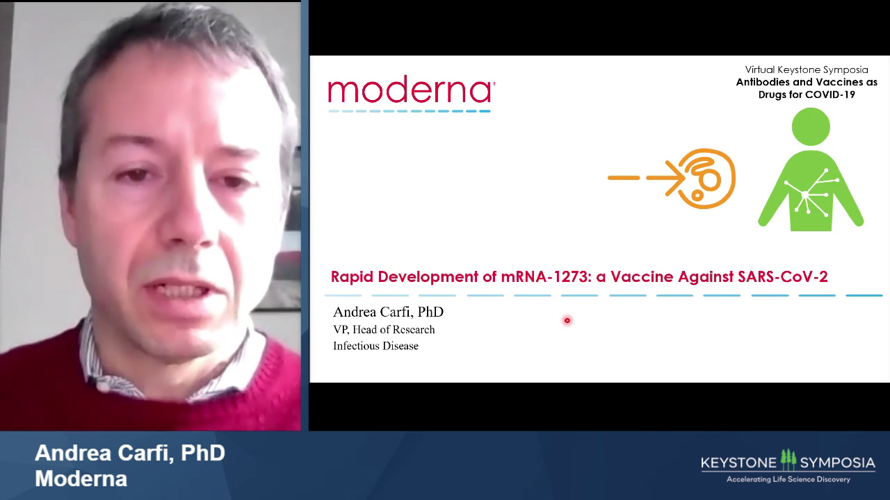 Potent Vaccine Efficacy From MRNA 1273 Expressing SARS CoV 2 Spike 