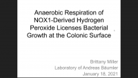 Short Talk: Anaerobic Respiration of NOX1‑Derived Hydrogen Peroxide Licenses Bacterial Growth at the Colonic Surface icon