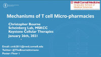 Short Talk: Mechanisms of Adoptive T Cell Micropharmacies icon