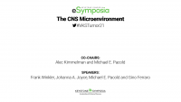 The CNS Microenvironment icon
