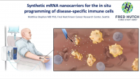 Synthetic mRNA Nanocarriers for the in situ Programming of Disease-Specific Immune Cells icon