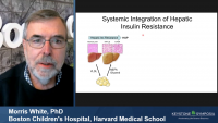 Peripheral and Central Faces of Hepatic Insulin Resistance icon