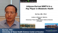 Short Talk: Adipose-Derived MMP14 Is a Key Player in Metabolic Health icon