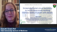 Striatal – Prefrontal Circuit Sensitivity to Insulin Determines Working Memory Ability in Youth with Obesity icon