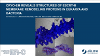 Short Talk: Cryo‑EM Reveals Structures of ESCRT‑III Membrane Remodeling Proteins in Eukarya and Bacteria icon