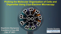 Probing the Molecular Organization of Cells and Organelles Using Cryo‑Electron Microscopy icon