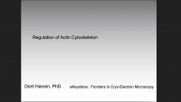 Regulation of Actin Cytoskeleton icon