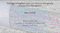Short Talk: Dual‑Axis Volta Phase Plate Cryo‑Electron Tomography of Ebola Virus-Like Particles icon
