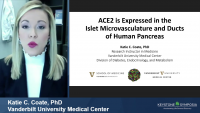 ACE2 is Expressed in the Islet Microvasculature and Ducts of Human Pancreas icon