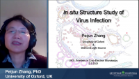 In situ Structure Study of Virus Infection icon
