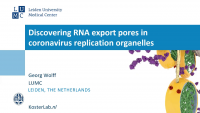 Short Talk: Discovering RNA Export Pores in Coronavirus Replication Organelles icon