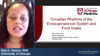 Circadian Rhythms of the Endocannabinoid System and Food Intake icon