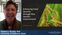 Enhancing Food Security through Rice Genetic Improvement icon