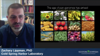 Engineering Quantitative Trait Variation for Crop Improvement by Genome Editing icon