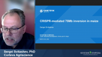 Short Talk: CRISPR-Cas9-mediated 75.5 Mb Inversion in Maize icon