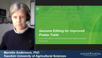 Genome Editing for Improved Potato Traits icon