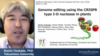 Short Talk: Genome Editing Using the CRISPR Type I-D Nuclease in Plants icon