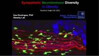Sympathetic Neuroimmune Heterogeneity icon