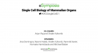 Single Cell Biology of Mammalian Organs icon