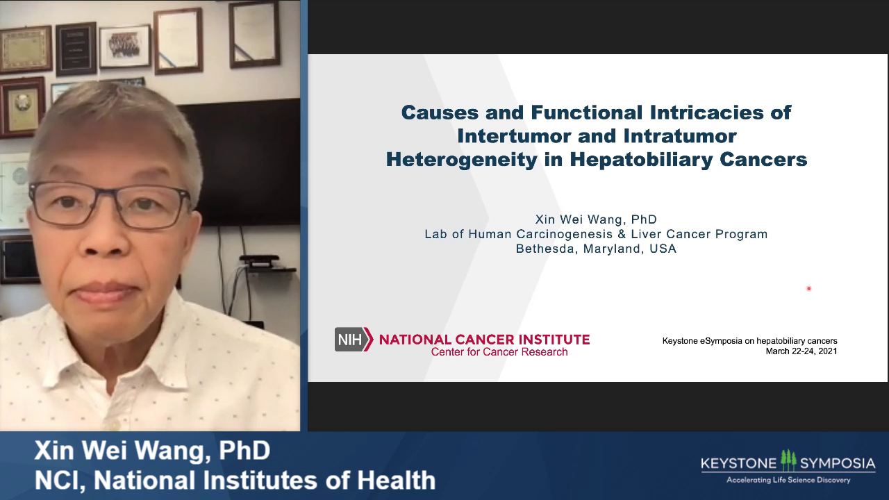 Causes And Functional Intricacies Of Intertumor And Intratumor ...