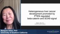 Short Talk: Heterogeneous Liver Cancer Development Promoted by PTEN Regulated beta-Catenin and SOX9 Signal icon