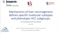 Mechanisms of Liver Carcinogenesis Define Specific Molecular and Phenotypic HCC Subgroups icon