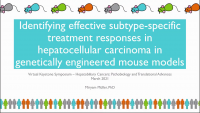 Short Talk: Identifying Effective Subtype-Specific Treatment Responses in Hepatocellular Carcinoma in Genetically Engineered Mouse Models icon