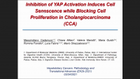 Short Talk: Inhibition of YAP Activation Induces Cell Senescence and Autophagy while Blocking Cell Proliferation in Cholangiocarcinoma (CCA) icon