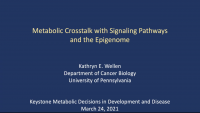Crosstalk between Metabolic Pathways, Signaling Networks and the Epigenome icon