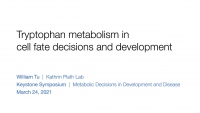 Short Talk: The Role of Tryptophan Metabolism in Cell Fate Decisions and Development icon