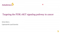 Therapeutic Targeting of PI3K-AKT Signalling in Cancer icon