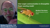 Inter-Organ Communication Pathways Involved in Organ Wasting icon