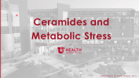 Ceramides and Metabolic Stress icon