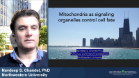 Mitochondrial Metabolic Signaling in Stem Cell Function and Immunity icon