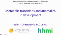 Metabolic Transitions and Anomalies in Development icon