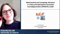 Short Talk: Mitochondrial and Autophagy Alteration in a Fatty Acid Hydroxylase-Associated Neurodegeneration Fly Model icon