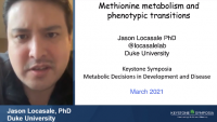 The Impact of Cellular Metabolism on Chromatin Dynamics and Epigenetics icon