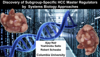 Discovery of Subgroup-Specific HCC Master Regulators by Systems Biology Approaches icon