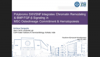 Short Talk: Polybromo SWI/SNF Integrates Chromatin Remodeling & BMP/TGF-β Signaling to Determine Mesenchymal Stromal Osteolineage Commitment and Hematopoiesis icon