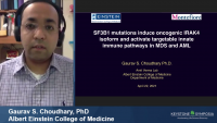 Short Talk: SF3B1 Mutations Induce Oncogenic IRAK4 Isoforms and Activate Targetable Innate Immune Pathways in MDS and AML icon