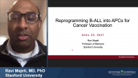 Reprogramming B-ALL into APCs for Cancer Vaccination icon