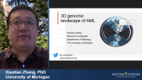 Short Talk: 3D Genomics Analysis in Acute Myeloid Leukemia Reveals the Activation of the Homeobox Genes Driven Leukemic-Specific 3D Network icon