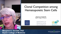 Clonal Competition Among Hematopoietic Stem Cells icon