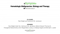 Hematologic Malignancies: Biology and Therapy icon